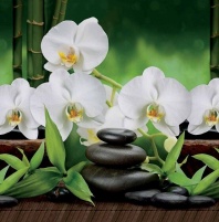 Фартук Белая орхидея 3000Х600